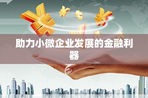 师宗助力小微企业发展的金融利器