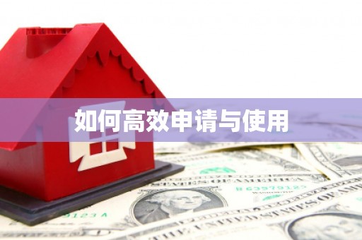 师宗如何高效申请与使用