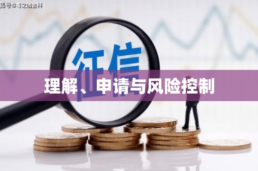 师宗理解、申请与风险控制