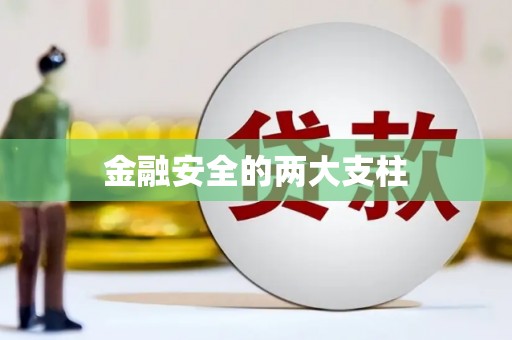 师宗金融安全的两大支柱