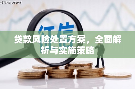 师宗贷款风险处置方案，全面解析与实施策略