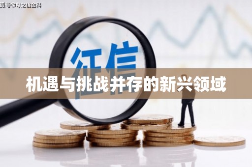 师宗机遇与挑战并存的新兴领域