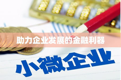 师宗助力企业发展的金融利器