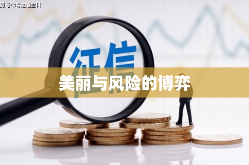 师宗美丽与风险的博弈