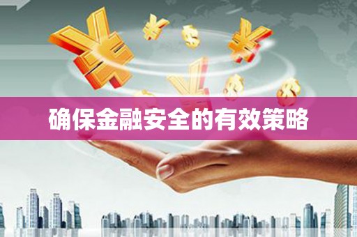 师宗确保金融安全的有效策略