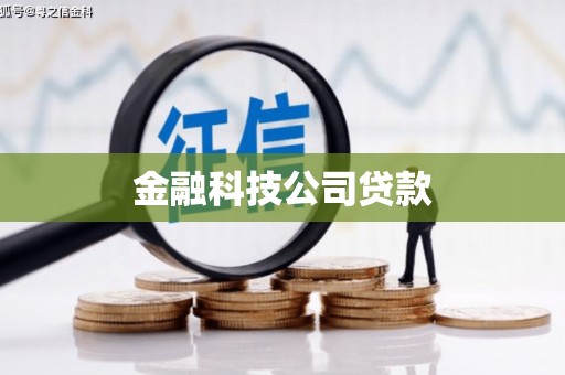 师宗金融科技公司贷款