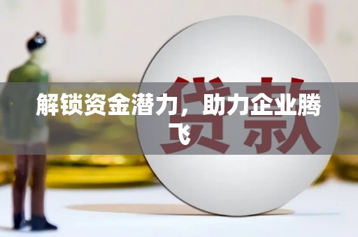 师宗解锁资金潜力，助力企业腾飞