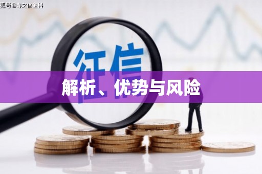 师宗解析、优势与风险
