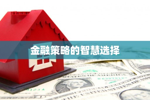 师宗金融策略的智慧选择