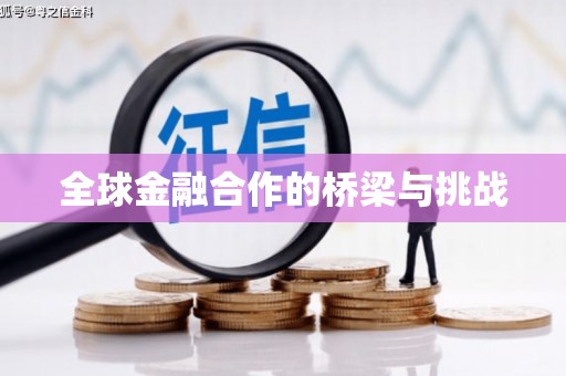 师宗全球金融合作的桥梁与挑战
