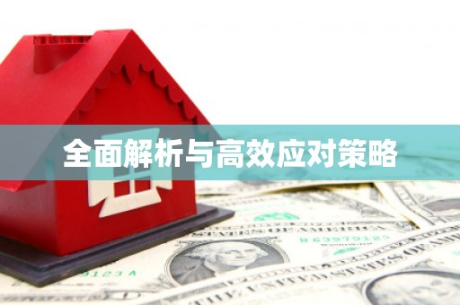 师宗全面解析与高效应对策略