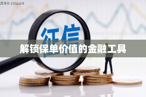 师宗解锁保单价值的金融工具