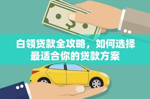 师宗白领贷款全攻略，如何选择最适合你的贷款方案
