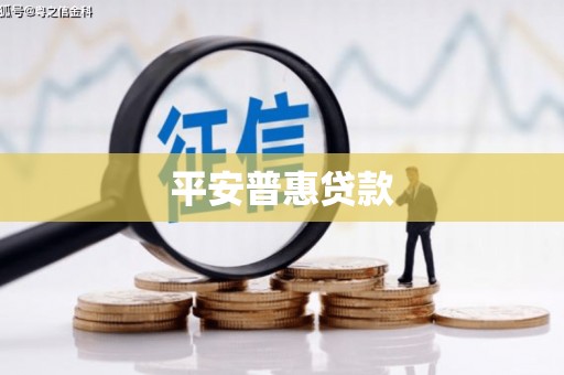 师宗平安普惠贷款