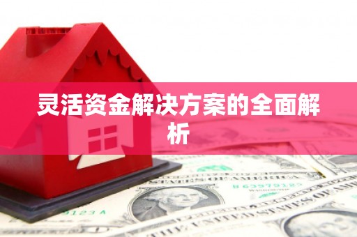 师宗灵活资金解决方案的全面解析