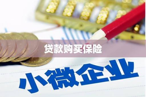 师宗贷款购买保险